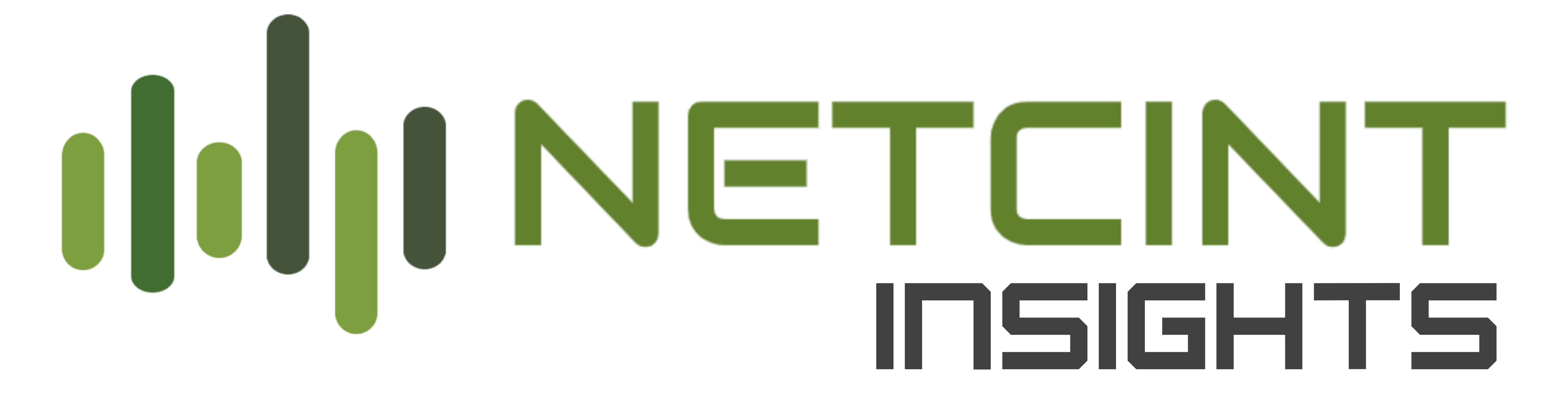 Logo de NetCint Insights